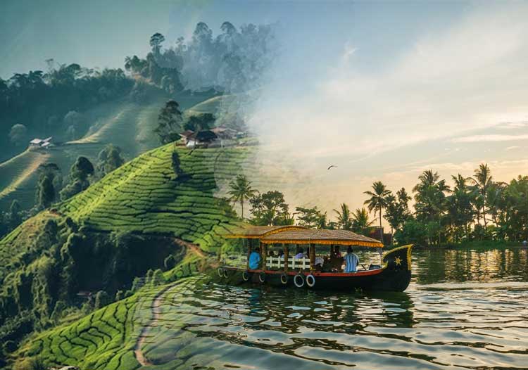 book-now-Kochi Munnar Alleppey Tour